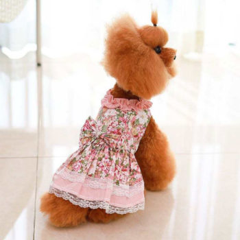 Baby Doll Dress