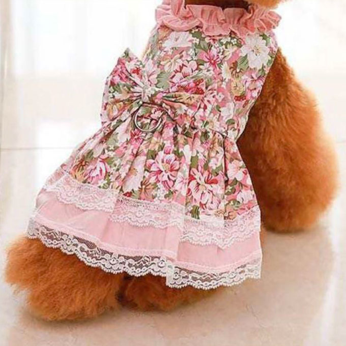 Baby Doll Dress