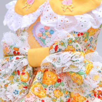 Lace Bliss - Birthday Wear Yellow