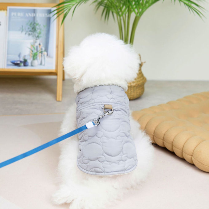 Winter Dog Coat Grey